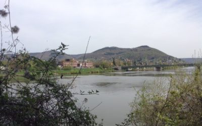 RadwegPlus am Fluss + Promenade zum Zoo