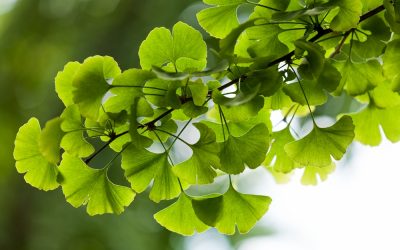 Raum für Mensch und Natur